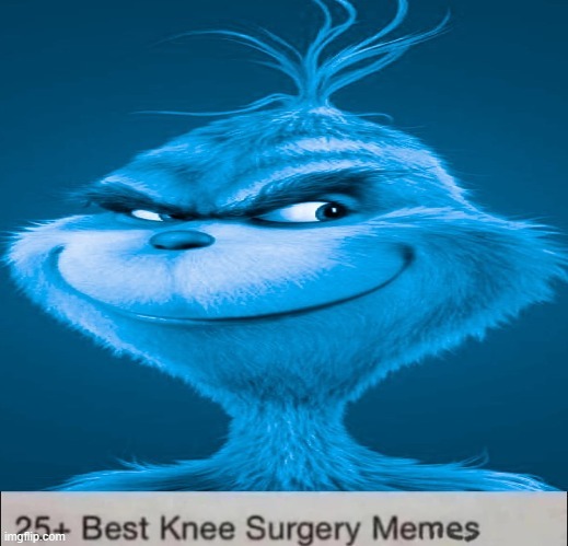 Blue Grinch Knee Surgery template | image tagged in blue grinch knee surgery template | made w/ Imgflip meme maker