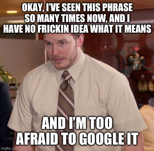 OKAY, I’VE SEEN THIS PHRASE SO MANY TIMES NOW, AND I HAVE NO FRICKIN IDEA WHAT IT MEANS AND I’M TOO AFRAID TO GOOGLE IT | image tagged in memes,afraid to ask andy | made w/ Imgflip meme maker