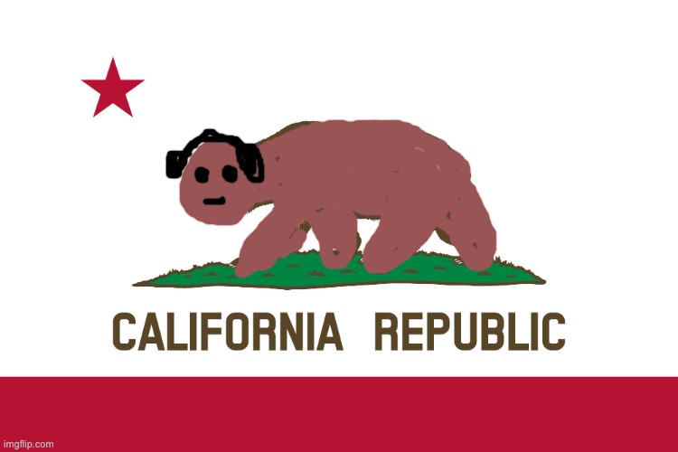 California Flag | image tagged in california flag | made w/ Imgflip meme maker