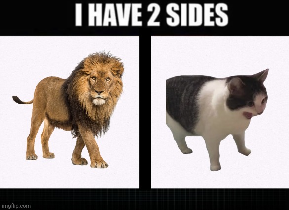 I have two sides | image tagged in i have two sides | made w/ Imgflip meme maker