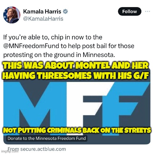MFF Male Female Female threesoms not criminals! | THIS WAS ABOUT MONTEL AND HER
HAVING THREESOMES WITH HIS G/F; NOT PUTTING CRIMINALS BACK ON THE STREETS | image tagged in threesome,kamala harris,vice president,maga,make america great again,criminals | made w/ Imgflip meme maker