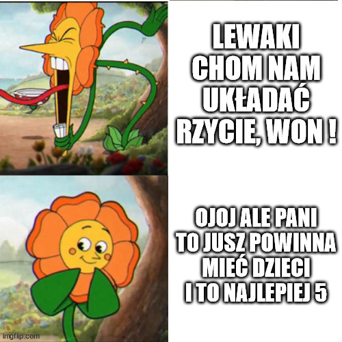 Cuphead Flower | LEWAKI CHOM NAM UKŁADAĆ RZYCIE, WON ! OJOJ ALE PANI TO JUSZ POWINNA MIEĆ DZIECI I TO NAJLEPIEJ 5 | image tagged in cuphead flower | made w/ Imgflip meme maker