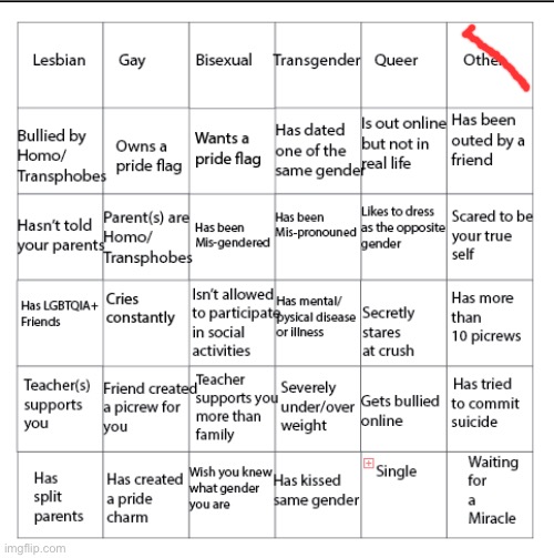 Other as in I’m straight | image tagged in lgbtqia bingo | made w/ Imgflip meme maker