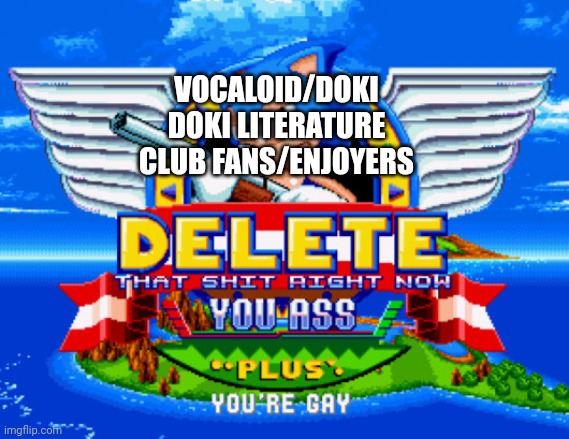 VOCALOID/DOKI DOKI LITERATURE CLUB FANS/ENJOYERS | image tagged in sonic holding a shotgun to tell you to delete | made w/ Imgflip meme maker