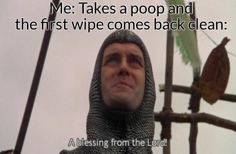 . | Me: Takes a poop and
the first wipe comes back clean: | image tagged in a blessing from the lord | made w/ Imgflip meme maker