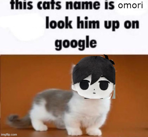 this cats name is x look him up on google | omori | image tagged in this cats name is x look him up on google | made w/ Imgflip meme maker