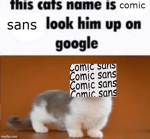 this cats name is x look him up on google | comic; sans | image tagged in this cats name is x look him up on google | made w/ Imgflip meme maker