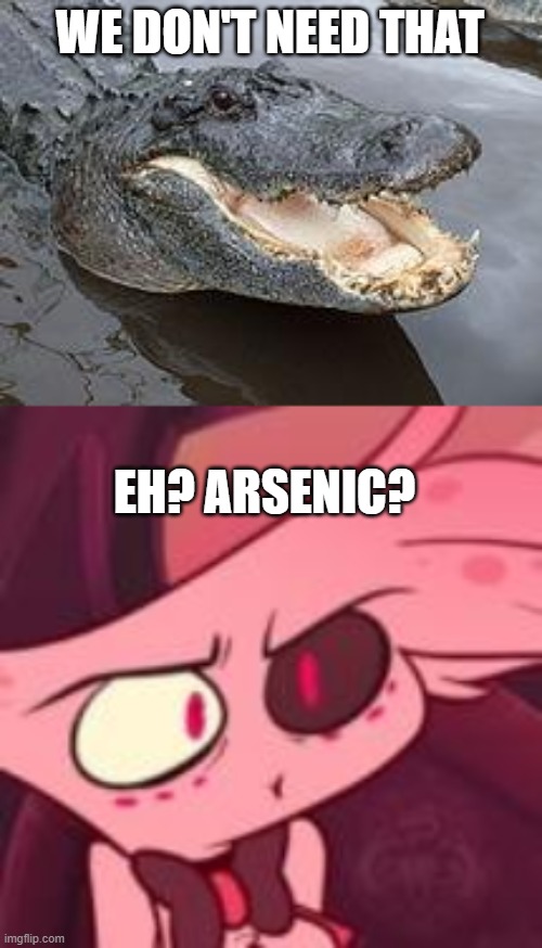 WE DON'T NEED THAT EH? ARSENIC? | image tagged in alligator wut | made w/ Imgflip meme maker