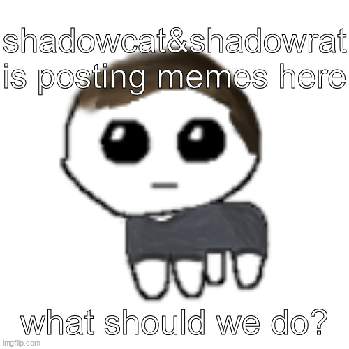 linus yippe | shadowcat&shadowrat is posting memes here; what should we do? | image tagged in linus yippe | made w/ Imgflip meme maker