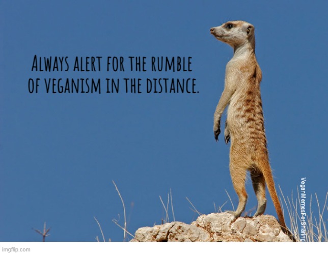 Just Stop Abusing Animals | image tagged in vegan,veganism | made w/ Imgflip meme maker