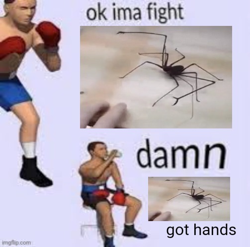 Ok imma fight | got hands | image tagged in ok imma fight | made w/ Imgflip meme maker