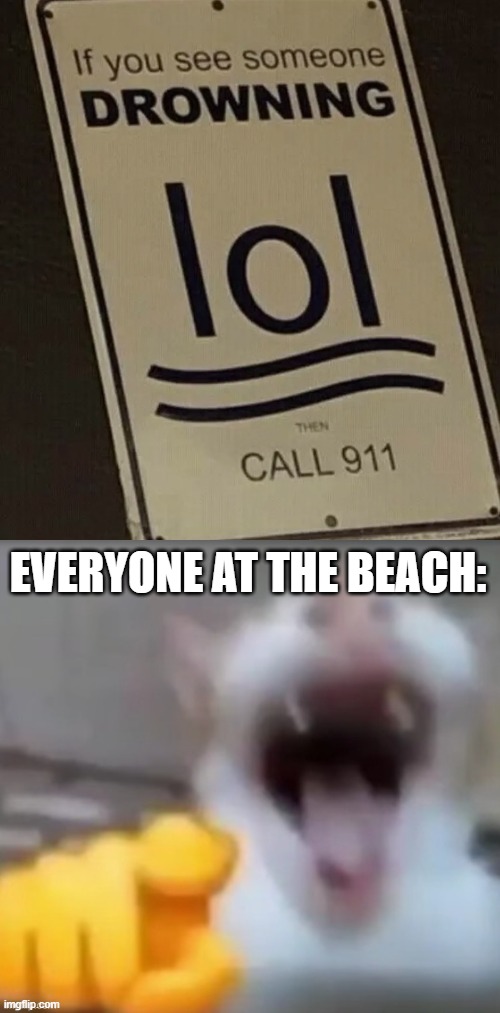 lol | EVERYONE AT THE BEACH: | image tagged in you had one job,beach,drowning,lol,memes | made w/ Imgflip meme maker