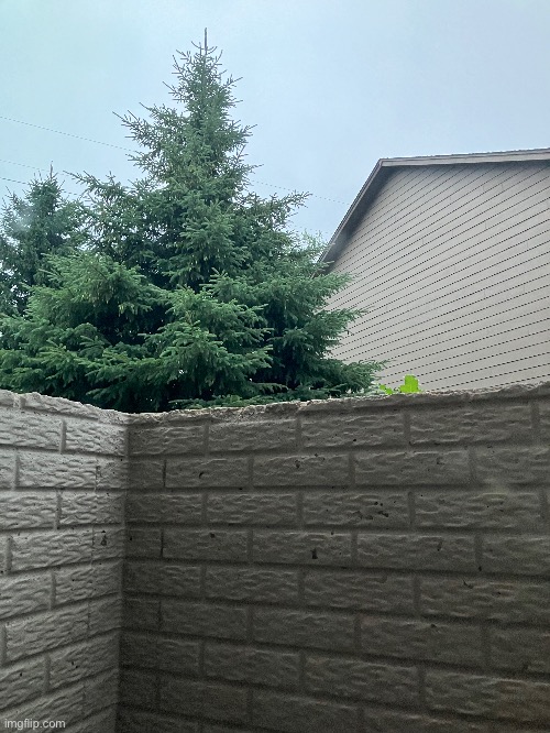 It’s officially sunrise for me, good morning everyone! | made w/ Imgflip meme maker