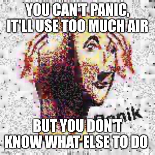 YOU CAN'T PANIC, IT'LL USE TOO MUCH AIR BUT YOU DON'T KNOW WHAT ELSE TO DO | image tagged in panik deep fried | made w/ Imgflip meme maker
