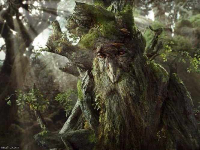 Treebeard Meme | image tagged in treebeard meme | made w/ Imgflip meme maker