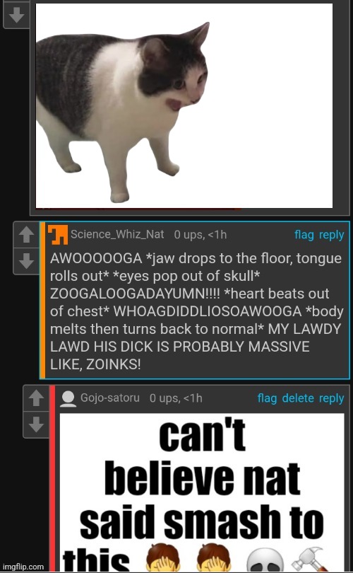 It screams for she is here | image tagged in can't believe nat said smash to this | made w/ Imgflip meme maker