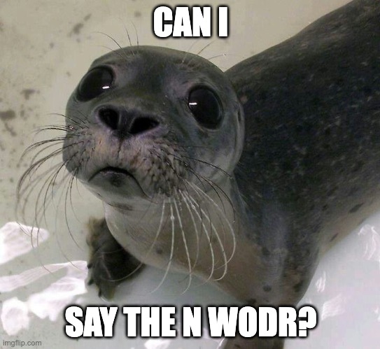 Sad Baby Seal | CAN I; SAY THE N WODR? | image tagged in sad baby seal | made w/ Imgflip meme maker