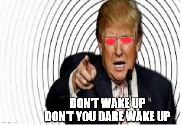 Donald Trump | DON'T WAKE UP
DON'T YOU DARE WAKE UP | image tagged in donald trump,trump,project 2025,woke,maga republicans | made w/ Imgflip meme maker