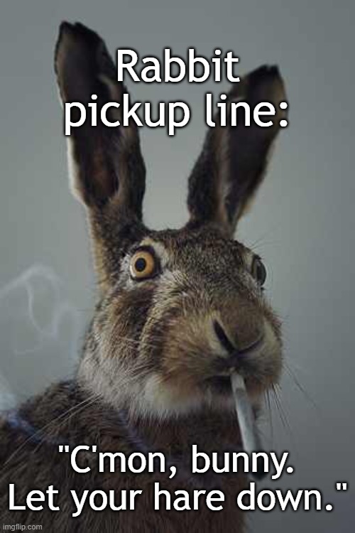 Rabbit smoking  | Rabbit pickup line:; "C'mon, bunny. Let your hare down." | image tagged in rabbit smoking | made w/ Imgflip meme maker