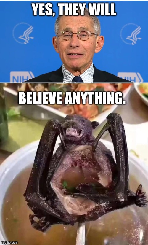 YES, THEY WILL BELIEVE ANYTHING. | image tagged in dr fauci,bat | made w/ Imgflip meme maker