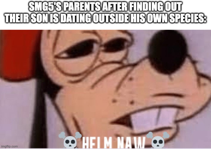 Helm Naw | SMG5'S PARENTS AFTER FINDING OUT THEIR SON IS DATING OUTSIDE HIS OWN SPECIES: | image tagged in helm naw | made w/ Imgflip meme maker