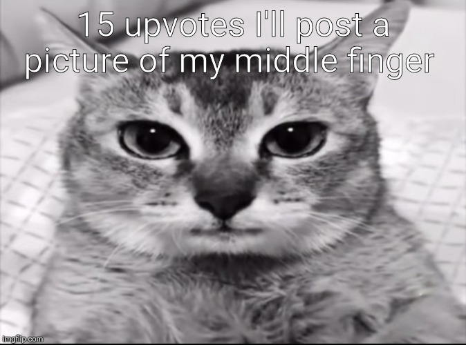 15 upvotes I'll post a picture of my middle finger | made w/ Imgflip meme maker