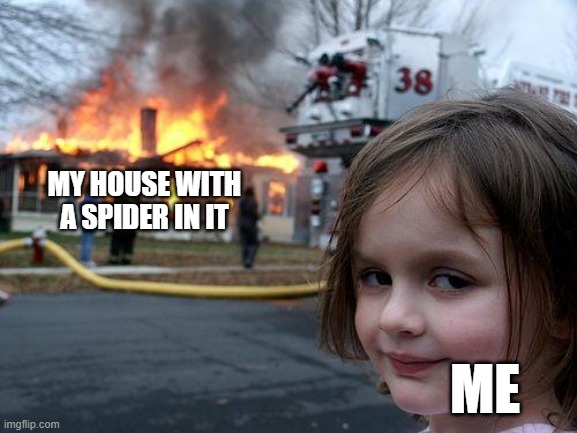 i got the spider though | MY HOUSE WITH A SPIDER IN IT; ME | image tagged in memes,disaster girl | made w/ Imgflip meme maker