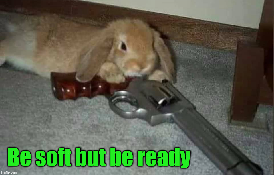 Protect yourself | Be soft but be ready | image tagged in bunnies | made w/ Imgflip meme maker