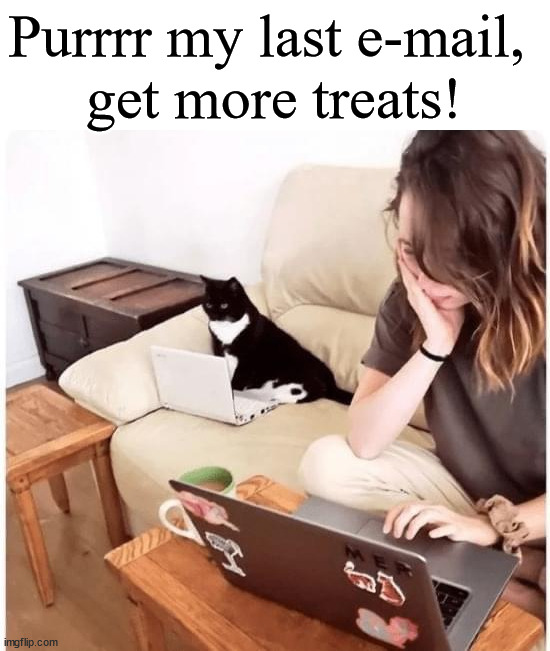 Computer cat | Purrrr my last e-mail, 
get more treats! | image tagged in email,cats | made w/ Imgflip meme maker