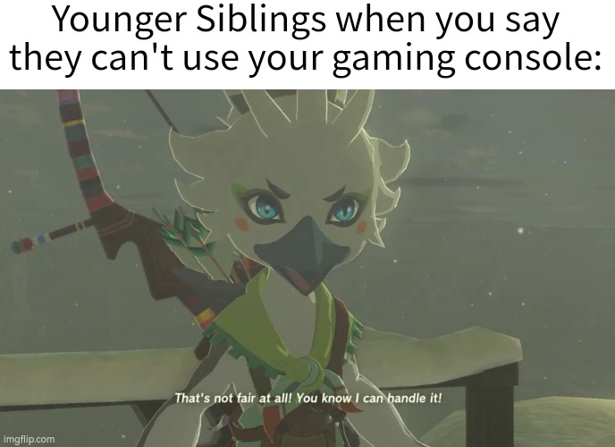 But can you handle it *safely* ? | Younger Siblings when you say they can't use your gaming console: | image tagged in memes,siblings,gaming console | made w/ Imgflip meme maker
