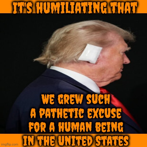 He Is The Most Humiliatingly Pathetic POS In American History | It's humiliating that; We grew such a pathetic excuse for a human being in the United States | image tagged in trump is a convicted felon,lock him up,trump unfit unqualified dangerous,convict,guilty,memes | made w/ Imgflip meme maker