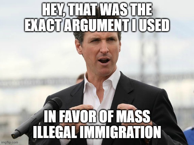 gavin newsome | HEY, THAT WAS THE EXACT ARGUMENT I USED IN FAVOR OF MASS ILLEGAL IMMIGRATION | image tagged in gavin newsome | made w/ Imgflip meme maker