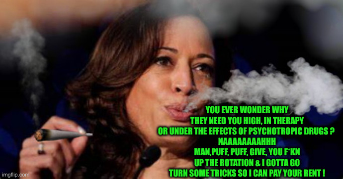 Ding, Ding, Dong Politics | YOU EVER WONDER WHY THEY NEED YOU HIGH, IN THERAPY OR UNDER THE EFFECTS OF PSYCHOTROPIC DRUGS ? 
NAAAAAAAAHHH MAN,PUFF, PUFF, GIVE, YOU F*KN UP THE ROTATION & I GOTTA GO TURN SOME TRICKS SO I CAN PAY YOUR RENT ! | image tagged in kamala harris stoned,funny memes,funny,political meme,politics,legalize weed | made w/ Imgflip meme maker