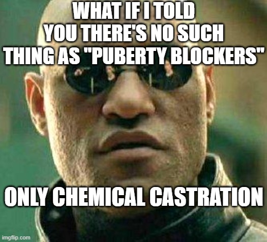 What if i told you | WHAT IF I TOLD YOU THERE'S NO SUCH THING AS "PUBERTY BLOCKERS"; ONLY CHEMICAL CASTRATION | image tagged in what if i told you | made w/ Imgflip meme maker