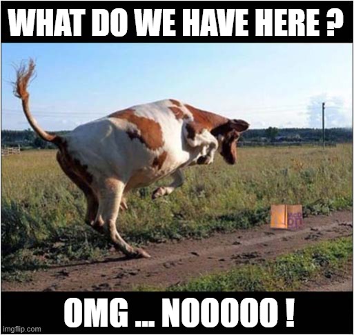 The Horror, The Horror ! | WHAT DO WE HAVE HERE ? OMG ... NOOOOO ! | image tagged in cows,mcdonalds,horror,dark humour | made w/ Imgflip meme maker