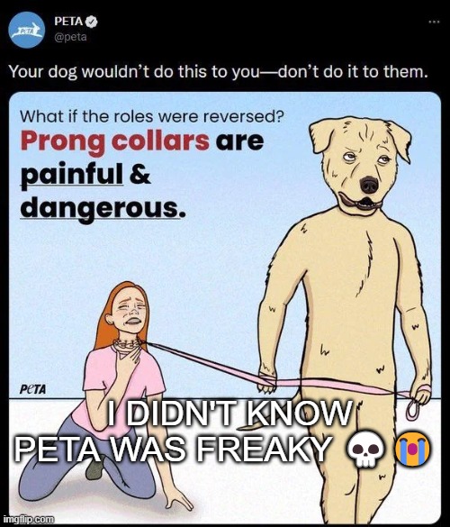 I DIDN'T KNOW PETA WAS FREAKY 💀😭 | made w/ Imgflip meme maker