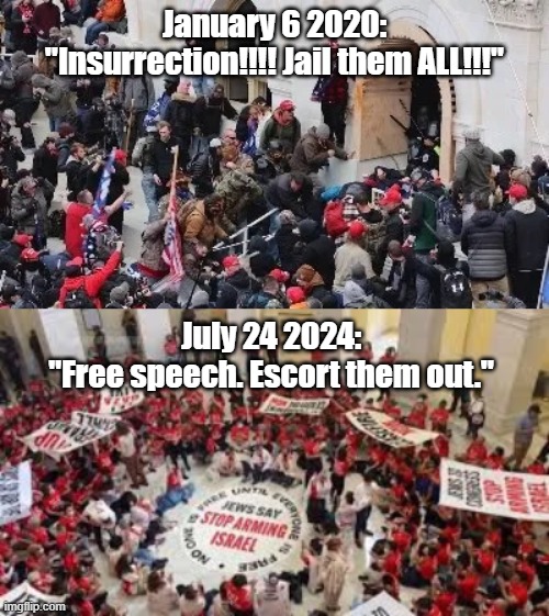 Democrat Hyprocrisy | January 6 2020:
"Insurrection!!!! Jail them ALL!!!"; July 24 2024:
"Free speech. Escort them out." | image tagged in maga riot | made w/ Imgflip meme maker