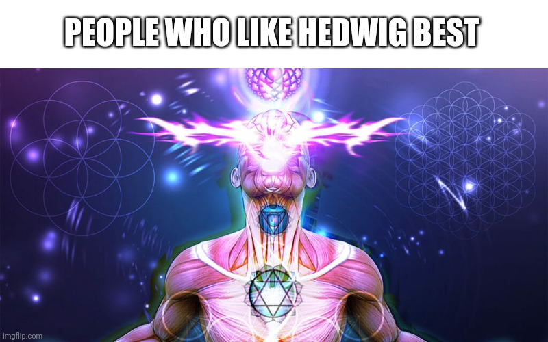 The Tactic to Surpass F1+F3 | PEOPLE WHO LIKE HEDWIG BEST | image tagged in the tactic to surpass f1 f3 | made w/ Imgflip meme maker