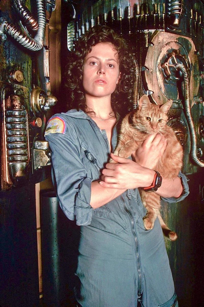 High Quality Ripley & Jonesy Blank Meme Template