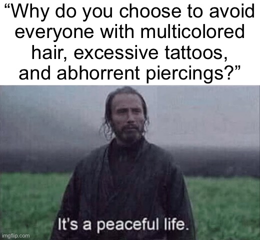 It’s a peaceful life | “Why do you choose to avoid
everyone with multicolored
hair, excessive tattoos,
and abhorrent piercings?” | image tagged in it s a peaceful life | made w/ Imgflip meme maker