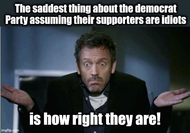 SHRUG | The saddest thing about the democrat Party assuming their supporters are idiots is how right they are! | image tagged in shrug | made w/ Imgflip meme maker