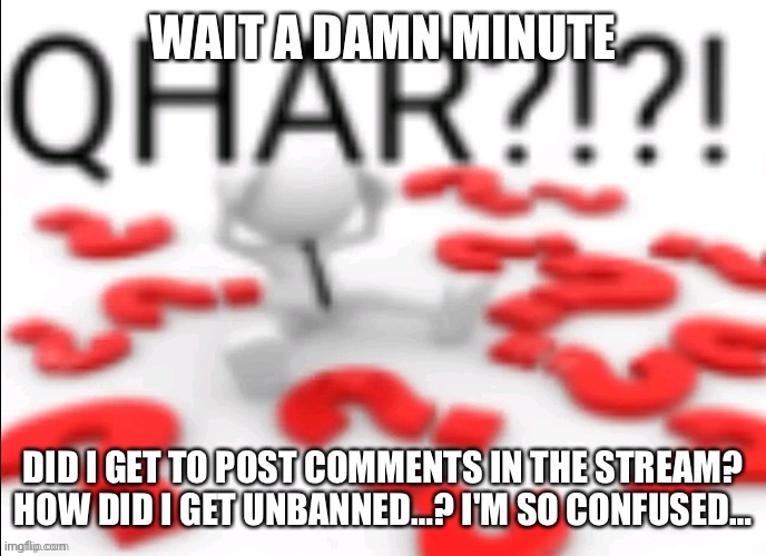 qhar | WAIT A DAMN MINUTE DID I GET TO POST COMMENTS IN THE STREAM?
HOW DID I GET UNBANNED…? I'M SO CONFUSED… | image tagged in qhar | made w/ Imgflip meme maker