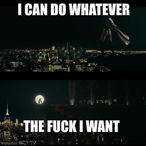 I CAN DO WHATEVER; THE FUCK I WANT | image tagged in they boys,the boys | made w/ Imgflip meme maker