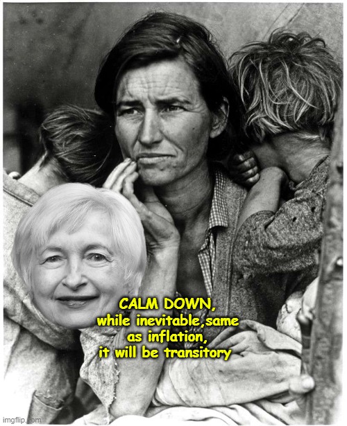 If they successfully install "Commie Law" | CALM DOWN, while inevitable,same as inflation, it will be transitory | image tagged in yellen transitory meme | made w/ Imgflip meme maker