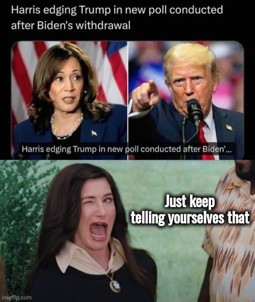 No turning back now | Just keep telling yourselves that | image tagged in wandavision agnes wink,trump,harris,i bet he's thinking about other women,same energy | made w/ Imgflip meme maker