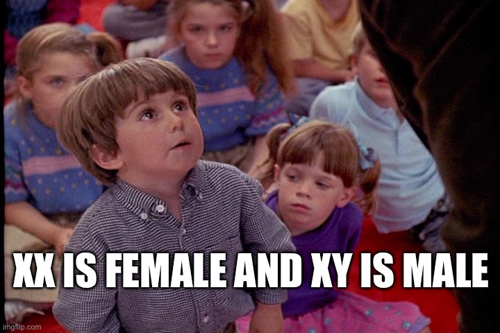 XX xy | XX IS FEMALE AND XY IS MALE | image tagged in kindergarten cop kid | made w/ Imgflip meme maker
