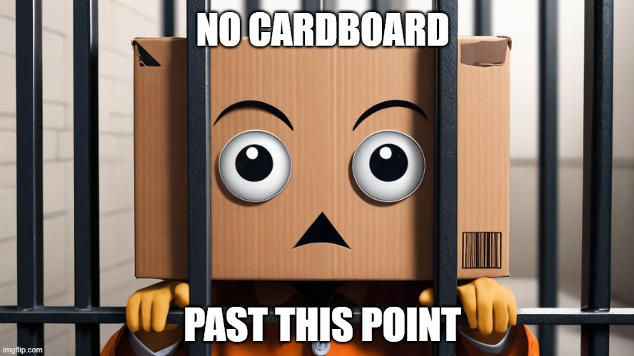 No Carboard Past This Point | NO CARDBOARD; PAST THIS POINT | image tagged in work,corporate,company policy,cardboard,data center | made w/ Imgflip meme maker