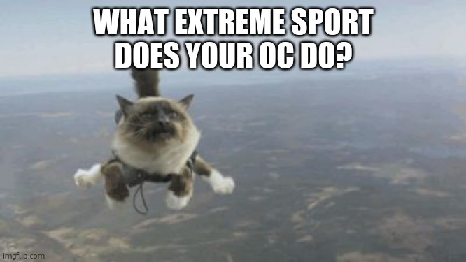 Pandora likes using a wingsuit. She likes the wind in her face. | WHAT EXTREME SPORT
DOES YOUR OC DO? | image tagged in skydiving cat | made w/ Imgflip meme maker