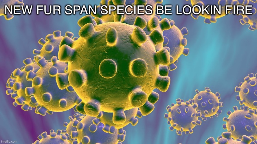 Carona Virus | NEW FUR SPAN SPECIES BE LOOKIN FIRE | image tagged in carona virus | made w/ Imgflip meme maker