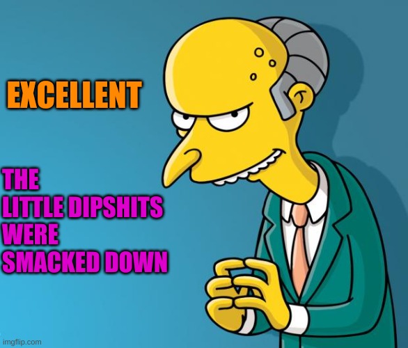Mr. Burns | EXCELLENT THE LITTLE DIPSHITS WERE SMACKED DOWN | image tagged in mr burns | made w/ Imgflip meme maker